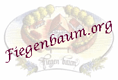 Fiegenbaum.org